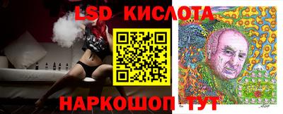 винт Можга