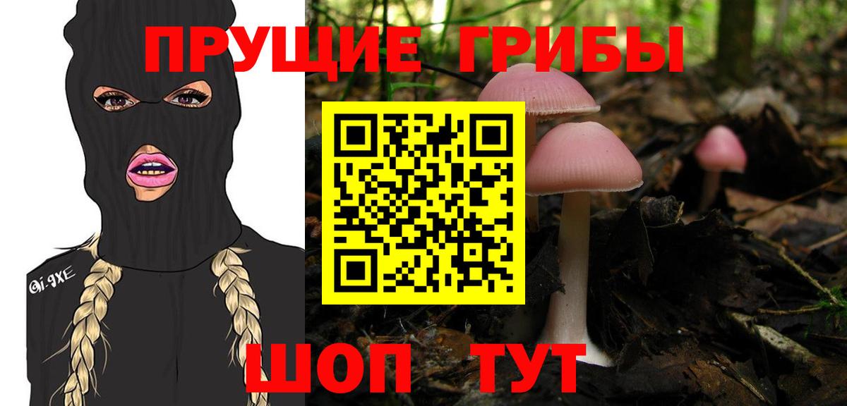 Галлюциногенные грибы мухоморы Губаха
