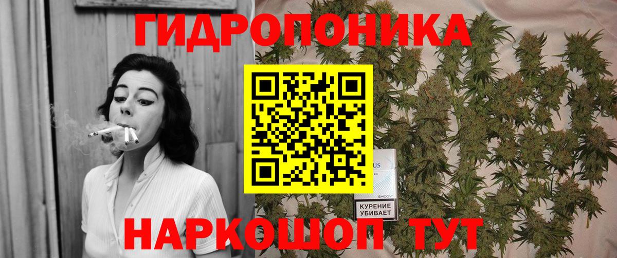 Канабис Amnesia Губаха